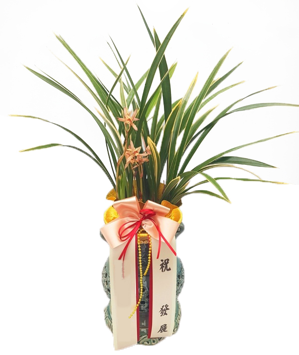 황룔금(투각분)