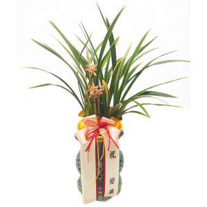 황룔금(투각분)