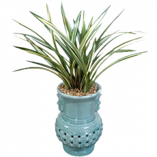 비취옥(투각분)