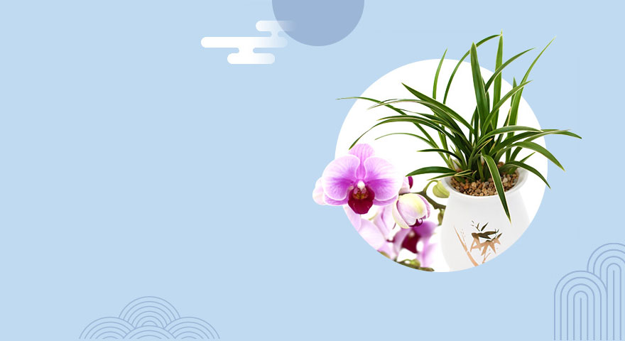 품격있는 승진난